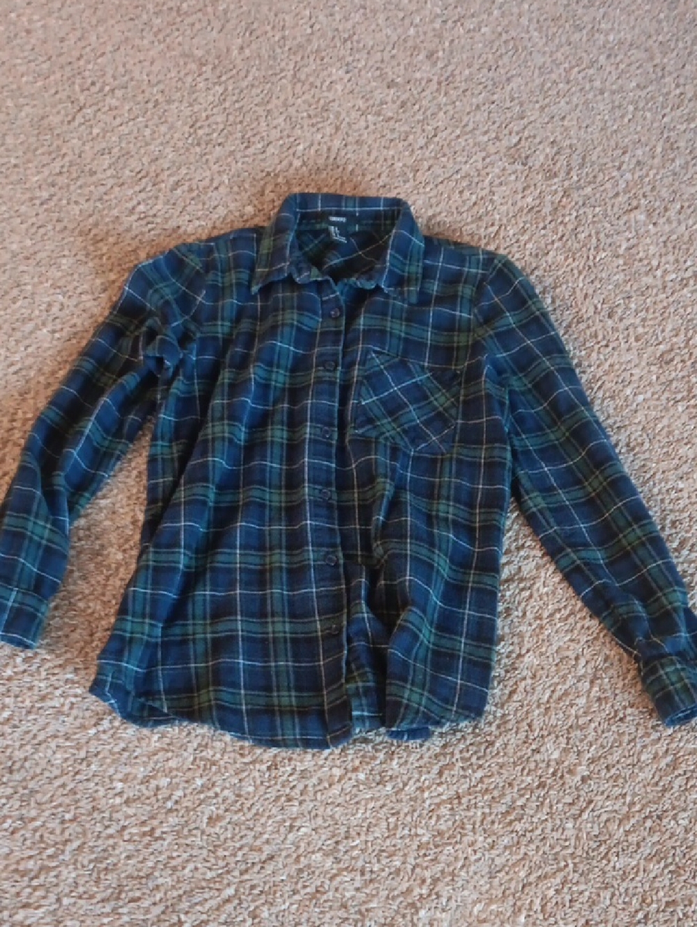 Forever 21 Blue and Green Plaid Button-Down Flannel Shirt